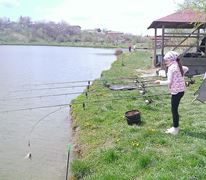 Floarea Popestiului 20 - 20 apr.